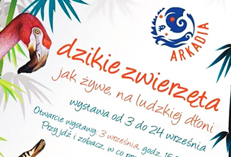 Arkadia - Poland